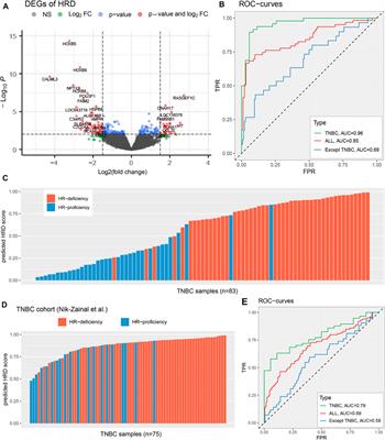 Applicability of Anticancer Drugs for the Triple-Negative Breast Cancer Based on Homologous Recombination Repair Deficiency